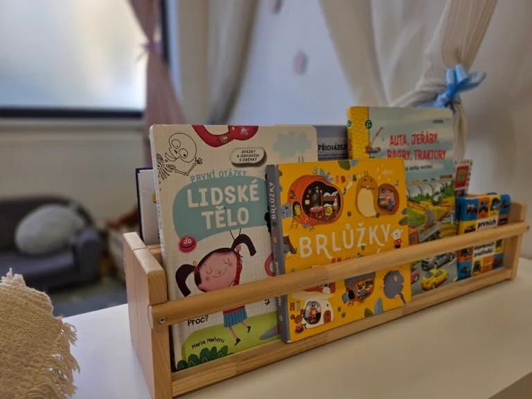 A shelf of children’s picture books at the Linden Kids kindergarten